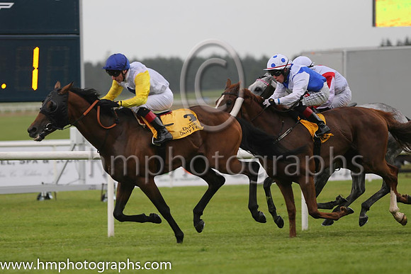 3rd - 3 Awesome Star - Trainer: John M Oxx - Jockey: DP McDonogh - Owner: Charles E Fipke - Colors: white, royal blue diamond
