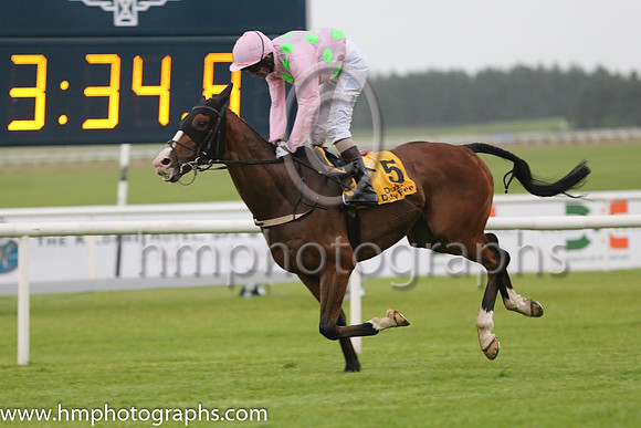 6th - 5 Daneking (GB) - Trainer: WP Mullins - Jockey: KJ Manning - Owner: Mrs S Ricci - Colors: pink, light green spots