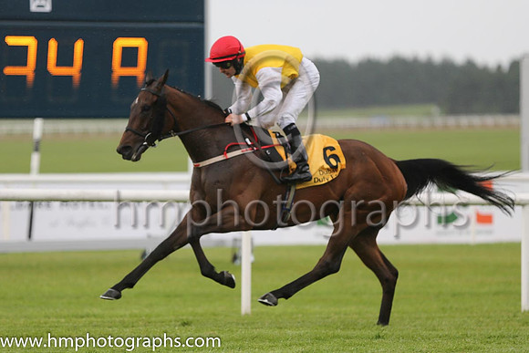 7th - 6 Sang Tiger (GER) - Trainer: JJLambe - Jockey: C O'Donoghue - Owner: Mrs Orla Cleary-O'Kane - Colors: yellow, white sleeves