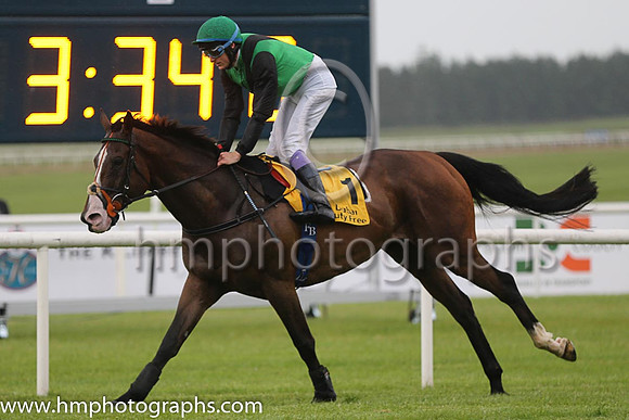 8th - 1 Steps To Freedom - Trainer: Mrs John Harrington - Jockey: FM Berry - Owner: Mrs Sean Hussey - Colors: emerald green, black sash
