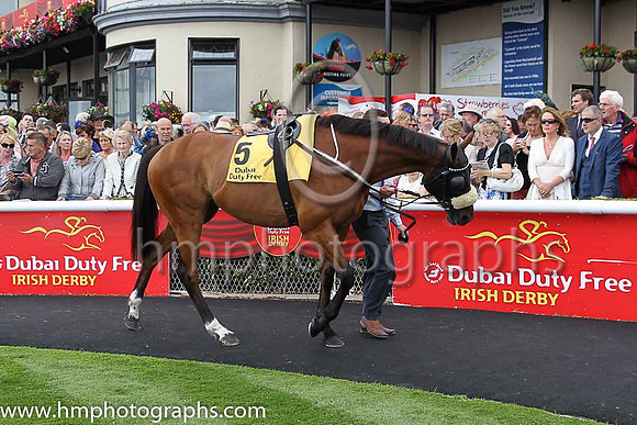 4th - 5 Russian Soul - Trainer: MHalford - Jockey: S Foley - Owner: Mrs AG Kavanagh - Colors: dark blue, pink triple diamond