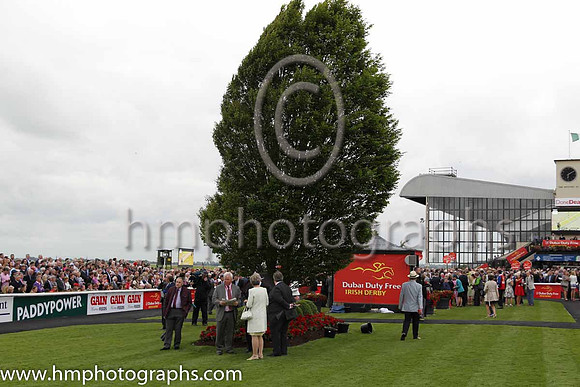 The parade ring at the Irish Derby at the Curragh