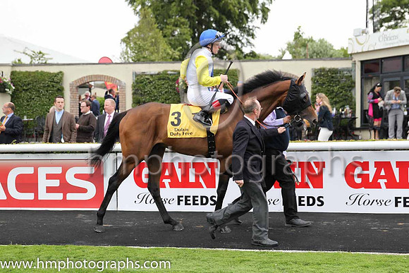 3rd - 3 Awesome Star - Trainer: John M Oxx - Jockey: DP McDonogh - Owner: Charles E Fipke - Colors: white, royal blue diamond