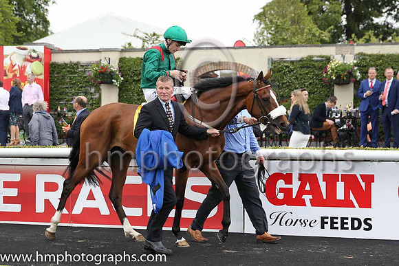 1st - 2 Silwana - Trainer: D K Weld - Jockey: PJ Smullen - Owner: HHAga Khan - Colors: green, red epaulettes