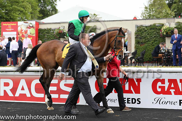 8th - 1 Steps To Freedom - Trainer: Mrs John Harrington - Jockey: FM Berry - Owner: Mrs Sean Hussey - Colors: emerald green, black sash