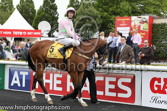 6th - 5 Daneking (GB) - Trainer: WP Mullins - Jockey: KJ Manning - Owner: Mrs S Ricci - Colors: pink, light green spots