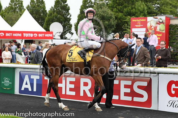 6th - 5 Daneking (GB) - Trainer: WP Mullins - Jockey: KJ Manning - Owner: Mrs S Ricci - Colors: pink, light green spots