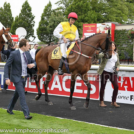 7th - 6 Sang Tiger (GER) - Trainer: JJLambe - Jockey: C O'Donoghue - Owner: Mrs Orla Cleary-O'Kane - Colors: yellow, white sleeves