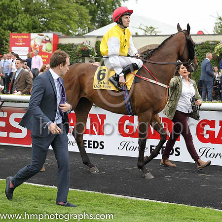 7th - 6 Sang Tiger (GER) - Trainer: JJLambe - Jockey: C O'Donoghue - Owner: Mrs Orla Cleary-O'Kane - Colors: yellow, white sleeves