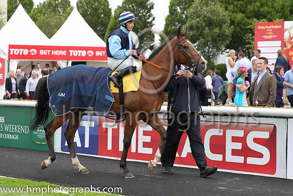 9th - 10 Jeremy's Jet - Trainer: AJMartin - Jockey: WM Lordan - Owner: PReilly - Colors: light blue and dark blue hlvd