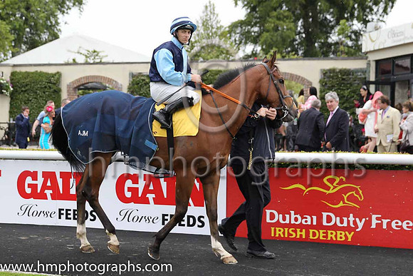 9th - 10 Jeremy's Jet - Trainer: AJMartin - Jockey: WM Lordan - Owner: PReilly - Colors: light blue and dark blue hlvd