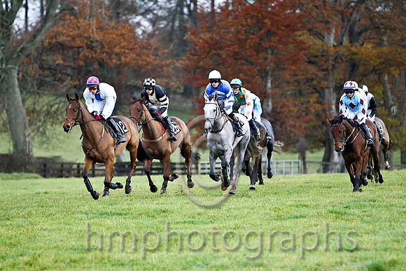 Champagne West & P D Collins - Winner (26, black , beige panel )  - FT8E8280-e