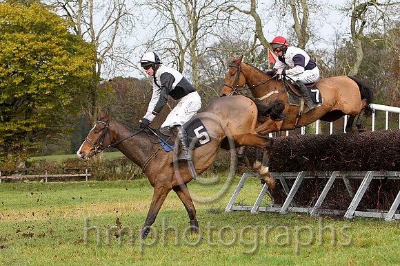 Ballybraes & Derek O'Connor - 5th (5, black and white quartered ) - FT8E8298-e