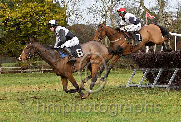 Ballybraes & Derek O'Connor - 5th (5, black and white quartered ) - FT8E8299-e