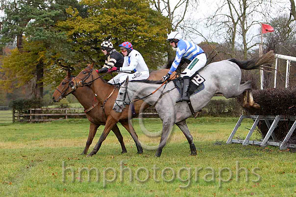 Champagne West & P D Collins - Winner (26,black , beige panel ) - FT8E8303-e