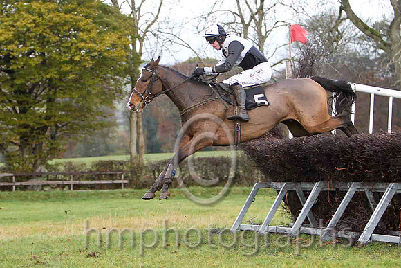 Ballybraes & Derek O'Connor - 5th (5, black and white quartered ) - FT8E8307-e