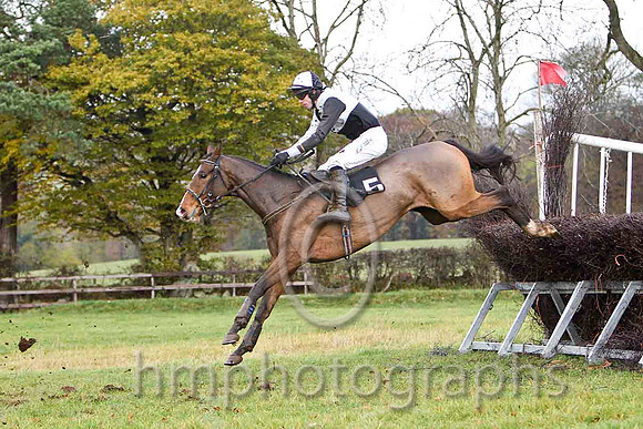 Ballybraes & Derek O'Connor - 5th (5, black and white quartered )FT8E8308-e