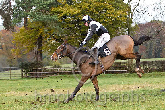 Ballybraes & Derek O'Connor - 5th (5, black and white quartered )FT8E8309-e