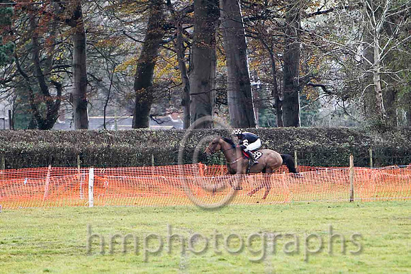 Champagne West & P D Collins - Winner (26, black , beige panel )  - FT8E8314-e