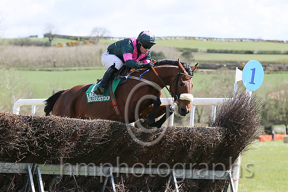 01st SHALUNA and R Deegan ( 7 , DARK GREEN,pink chevron; dark green,pink armlet sleeves; dark green cap,pink star ) Trainer: Aidan Fitzgerald,, Owner : Peter Stone