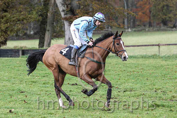 My Man Milan & B G Crawford - Fell (4,light blue, navy seams ) - FT8E8319-e