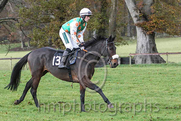 HellOrBoston & B O'Neill - winner (13,emerald green, orange spots ) - FT8E8335-e