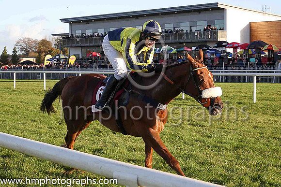 05th The Last Samuri and D Bass ( 6 , dark blue and yellow qtrd ) Trainer - K C Bailey , Owner - Paul  Clare Rooney