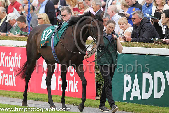 11 Tomorrow Morning and W J Lee - - 11th (12 ,yellow, green sash ) Trainer - T M Walsh