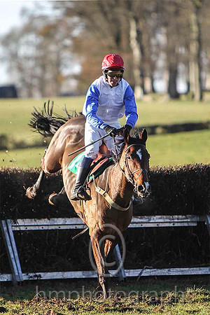 Lecale Lad & P E Turley - winner (14,white, blue plain sleeves ) - FT8E9289-e