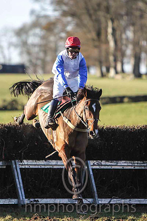 Lecale Lad & P E Turley - winner (14,white, blue plain sleeves ) - FT8E9288-e