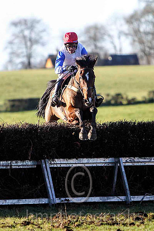 Lecale Lad & P E Turley - winner (14,white, blue plain sleeves ) - FT8E9308-e