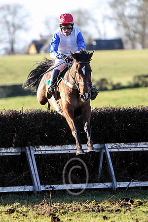 Lecale Lad & P E Turley - winner (14,white, blue plain sleeves ) - FT8E9309-e