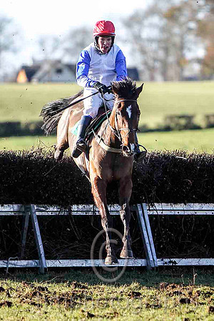 Lecale Lad & P E Turley - winner (14,white, blue plain sleeves ) - FT8E9326-e