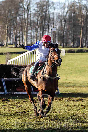 Lecale Lad & P E Turley - winner (14,white, blue plain sleeves ) - FT8E9330-e