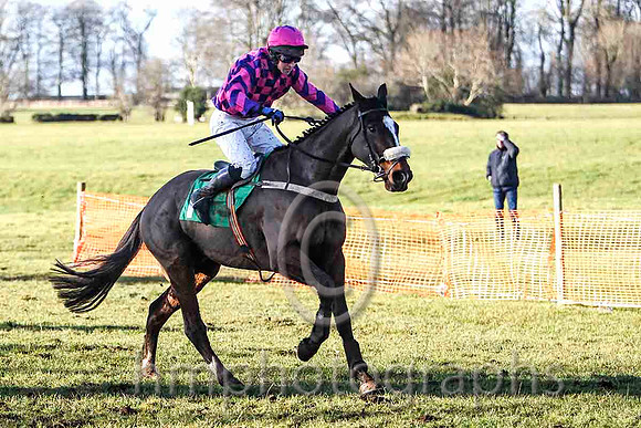 Bahati Boy & N MParlan - 3rd (1, purple and pink check ) - FT8E9349-e2