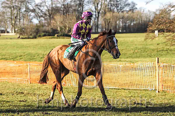 Two Hotshots & B O'Neill - PU (24, purple and yellow diamonds ) - FT8E9353-e