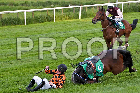 Mister Philson , Fell, Jockey Derek O'Connor - FT8E3212-e