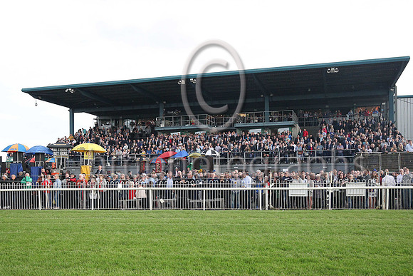 Down Royal on Magners Race Evening