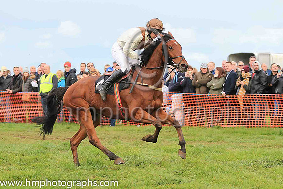 LOUGHVIEW LADDIE and M J O'Hare ( 4 , BEIGE,brown chevron; beige sleeves; brown cap ) Trainer: Mrs John B. Ross,, Owner : Macklin, Sean