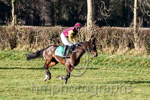 She'll Tell Meda & J Cresswell - PU (14,maroon, gold stars ) - FT8E9224-e