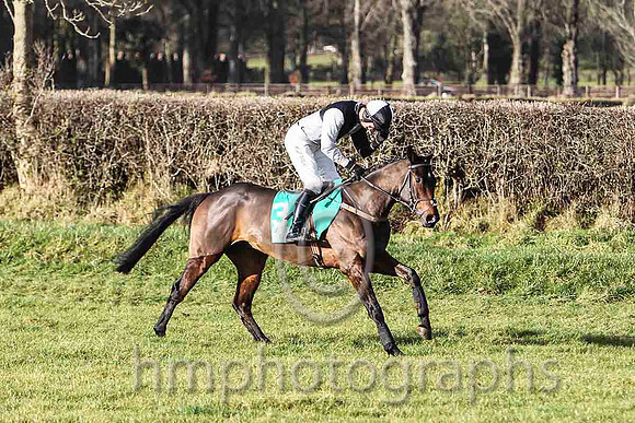 Unic De Bersy & Derek O'Connor - Winner (3,black and white qtrd ) - FT8E9225-e