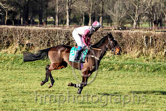 Witheslegs & P E Turley - 9th (20, beige, maroon cross ) - FT8E9231-e