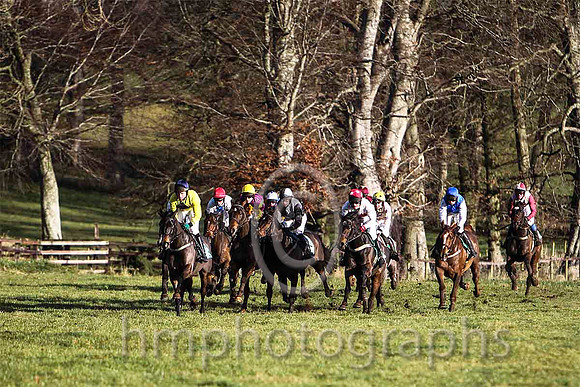 Horses at Loughanmore - FT8E9266-e