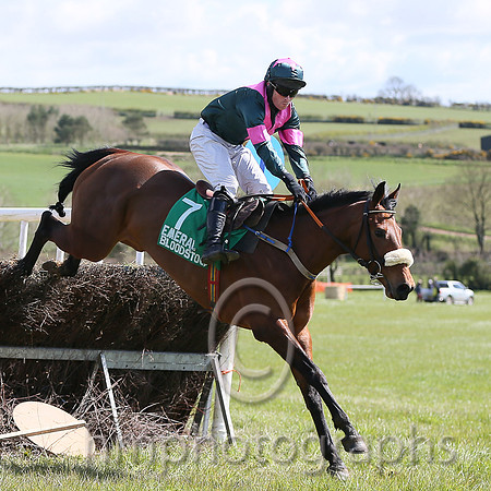 01st SHALUNA and R Deegan ( 7 , DARK GREEN,pink chevron; dark green,pink armlet sleeves; dark green cap,pink star ) Trainer: Aidan Fitzgerald,, Owner : Peter Stone