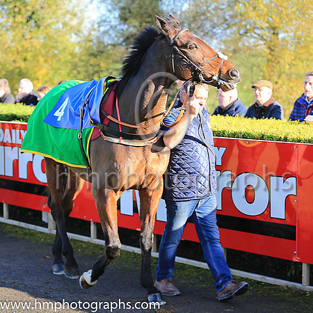 04th Sadler?s Risk and D J Mullins ( 4 , light blue, pink chevrons ) Trainer - H de Bromhead , Owner - R S Brookhouse