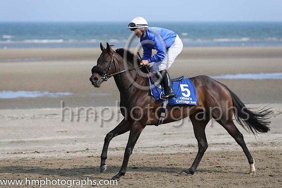 3 Acting Talent and N G McCullagh - - 3rd (5 ,royal blue, white cap ) Trainer - M C Grassick