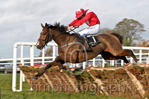 Latin Connection & Mr B G Crawford - Winner (1, red, white chevron) - FT8E7876-e2d