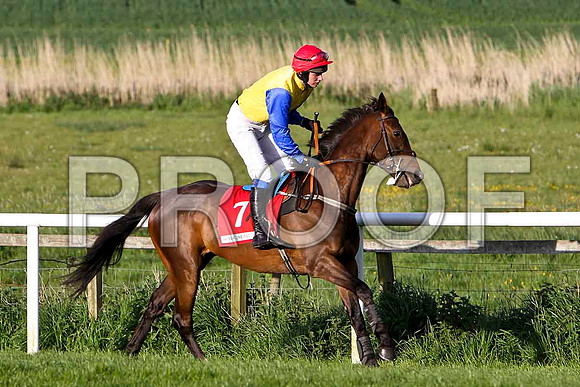 High Talk , 4th, Jockey - D R Fox - FT8E3068-e