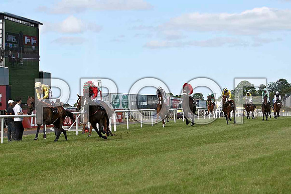 Mad Existance 2nd, Jockey K Latham- CU2D0324-e3