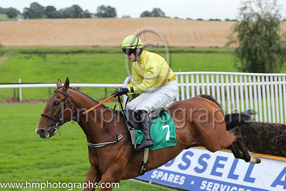 07th Laudatory and A Ring ( 7 , yellow ) Trainer - P J Rothwell , Owner - Eric Newnham